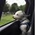 Patti Myner's profile image
