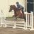 Maureen Leist Lane's profile image