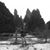Judy Lynn McLaughlin's profile image