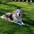 Sandy Mae's profile image