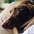 Elke Drozd Williams's profile image