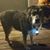 Conni Seurer Zingler's profile image