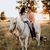 Tayler Fitts's profile image