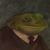 Debra Lindvik Christensen's profile image