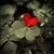 Debbie Wilkinson's profile image