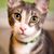 Maria Sparacio's profile image