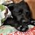 Maghen Ward Buttrick's profile image