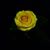 Kay Juarez's profile image