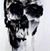 Randy King's profile image