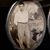 Sandra Chacona's profile image