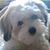 Diane Marshall Jacques's profile image