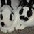 Kathleen Marie's profile image