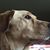 Ron Jozwiak's profile image