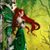 Suzi Hall's profile image