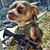 Jess V. Gutierrez's profile image