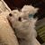 Katelyn Ivey's profile image