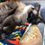 Roxanne Saloky's profile image