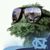 Dwayne Bigdawg Hughes's profile image