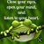 Dianne Fennell's profile image