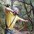 Don Watkins's profile image