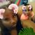 NeeNee Williams's profile image