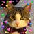 Dawn Mills Hannock's profile image