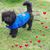Anthea Ogborne's profile image