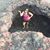 Jackie Brayer's profile image