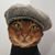 Kevin McNeer's profile image