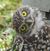 Rich Maxson's profile image