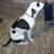 Barb Lavin Towner's profile image