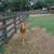 Arnold Hill's profile image