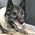 Maurice J. Convey's profile image