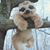 Fara Orellano's profile image