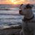 Lori Blackwell's profile image
