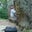 Ken Owensby's profile image