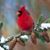 Tam Tam's profile image