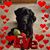 Hope Wicken's profile image