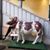Katherine McGaughey's profile image