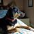 Glenda Salerno's profile image
