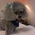 Teresa Reaves Freeman's profile image