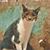 Julia Hamrick's profile image
