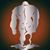 Jeramy Hall's profile image