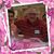 Susan M. Koslosky's profile image