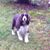 Jerry Jewell's profile image