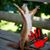 Debra Outlaw's profile image