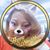 Dawn D. Braithwaite's profile image