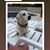Donna Mae Betz's profile image