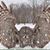 Alan Eggen's profile image