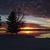 Diane Meyer's profile image
